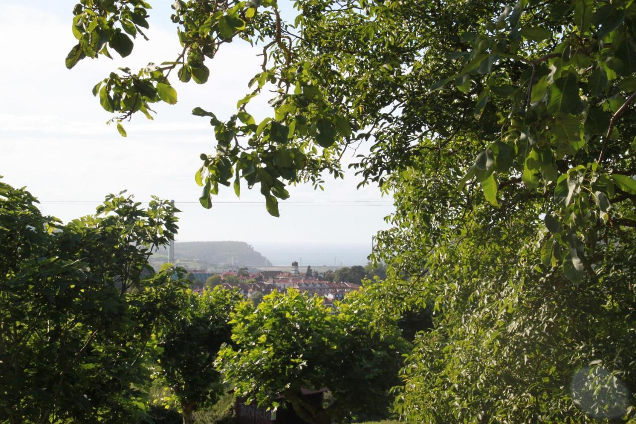 Apartamento Rural Zuri Cotorrio Exteriér fotografie