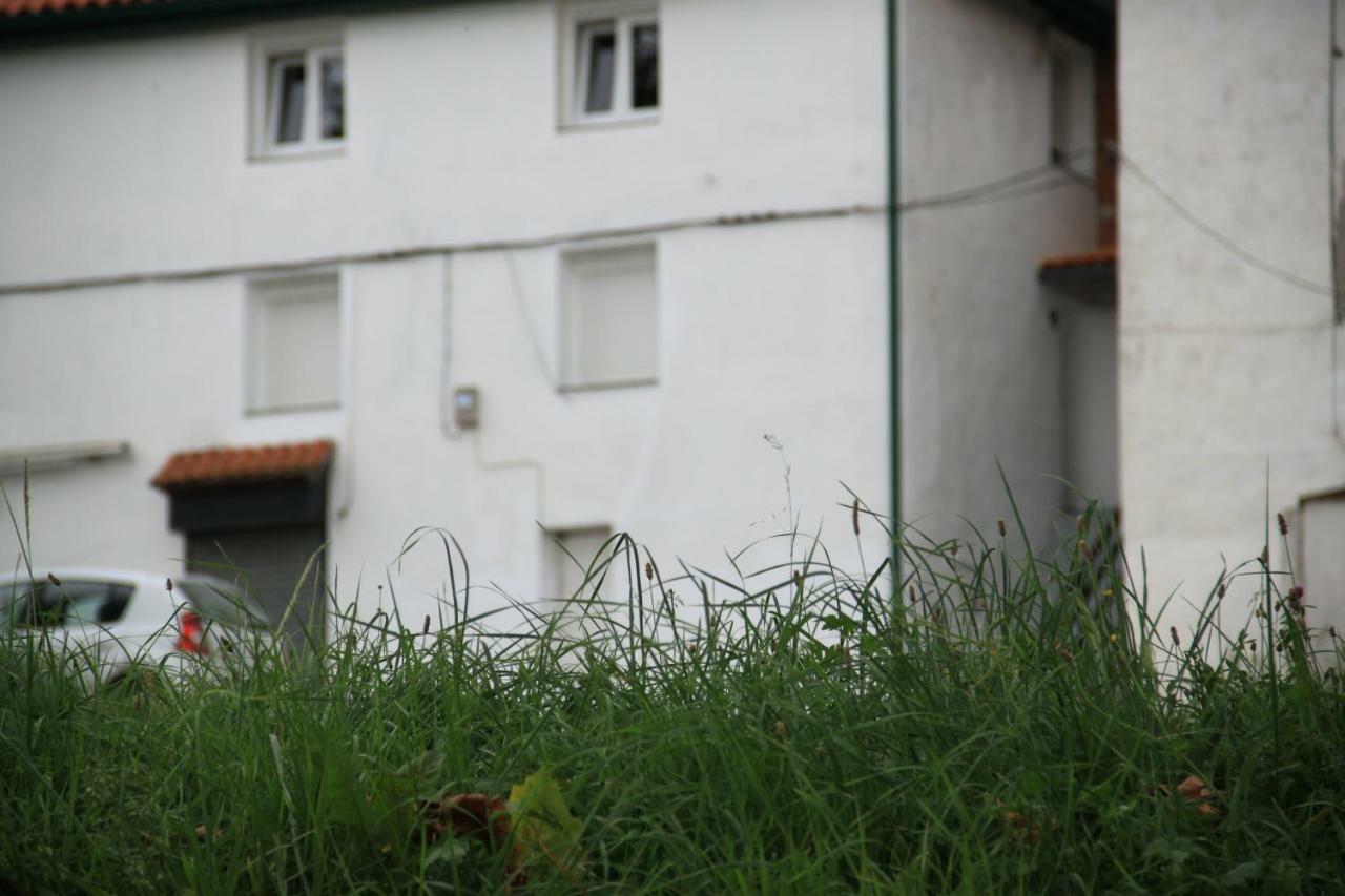 Apartamento Rural Zuri Cotorrio Exteriér fotografie